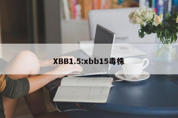 XBB1.5:xbb15毒株