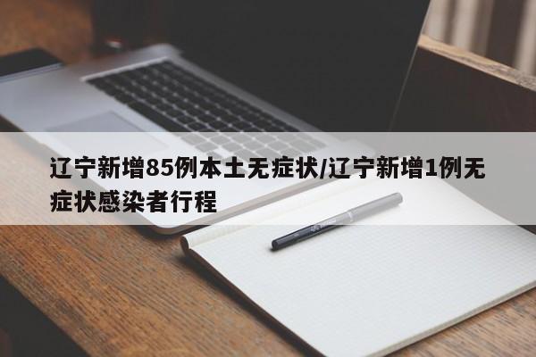 辽宁新增85例本土无症状/辽宁新增1例无症状感染者行程